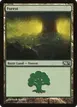 Forest #248