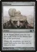 Millstone #213
