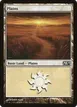 Plains #230