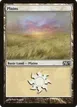 Plains #232