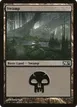 Swamp #240