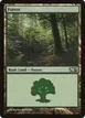 Forest #247