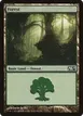 Forest #248
