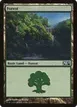 Forest #249