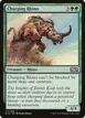 Charging Rhino #171