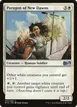 Paragon of New Dawns #23
