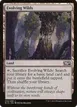 Evolving Wilds #243