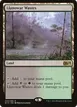 Llanowar Wastes #244