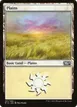 Plains #251