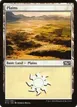 Plains #253