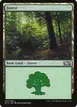 Forest #267