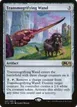 Transmogrifying Wand #247
