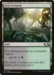 Foul Orchard #251