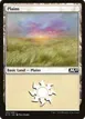 Plains #263