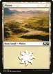 Plains #264