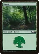 Forest #278