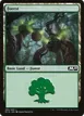 Forest #280