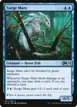 Surge Mare #77