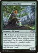 Brightwood Tracker #166