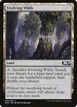 Evolving Wilds #246