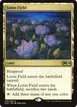 Lotus Field #249