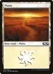 Plains #261