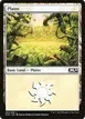 Plains #262