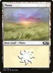 Plains #263