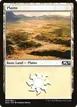 Plains #264
