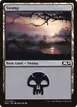 Swamp #271