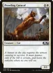 Prowling Caracal #309