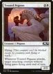 Trusted Pegasus #314