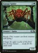 Canopy Spider #339