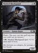 Masked Blackguard #113