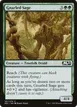 Gnarled Sage #187