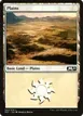 Plains #262