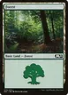 Forest #273