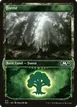 Forest #313