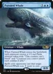 Pursued Whale #351
