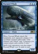 Pursued Whale #60