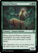 Eternal Witness #227