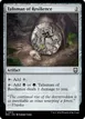 Talisman of Resilience #314