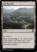 Ash Barrens #318