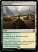 Brushland #324