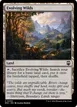 Evolving Wilds #340