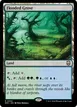 Flooded Grove #342