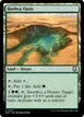 Hashep Oasis #347