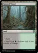 Tainted Wood #383