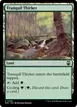Tranquil Thicket #398