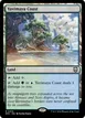 Yavimaya Coast #410